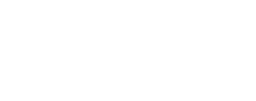 本場イタリアから輸入した薪窯