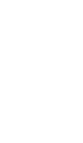 本格ナポリ風ピザ